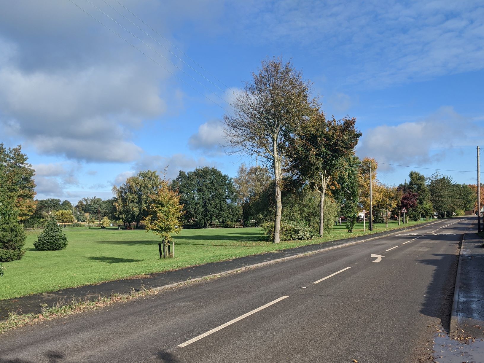 Autumn colours on the green, October 13th